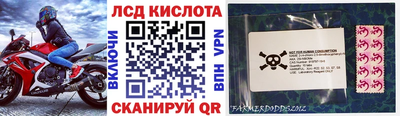 Купить закладки  Протвино  Марки NBOMe 1,5мг 