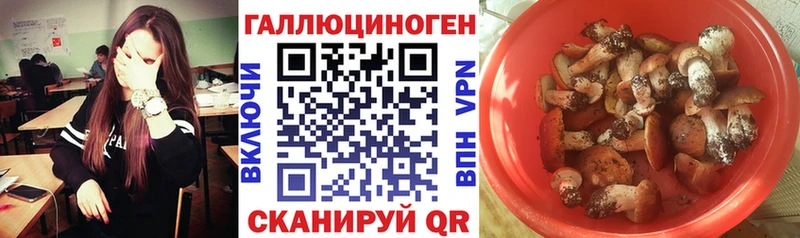 Псилоцибиновые грибы прущие грибы  Купить  Протвино 