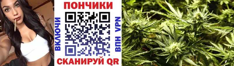 Конопля сатива  Купить  Протвино 
